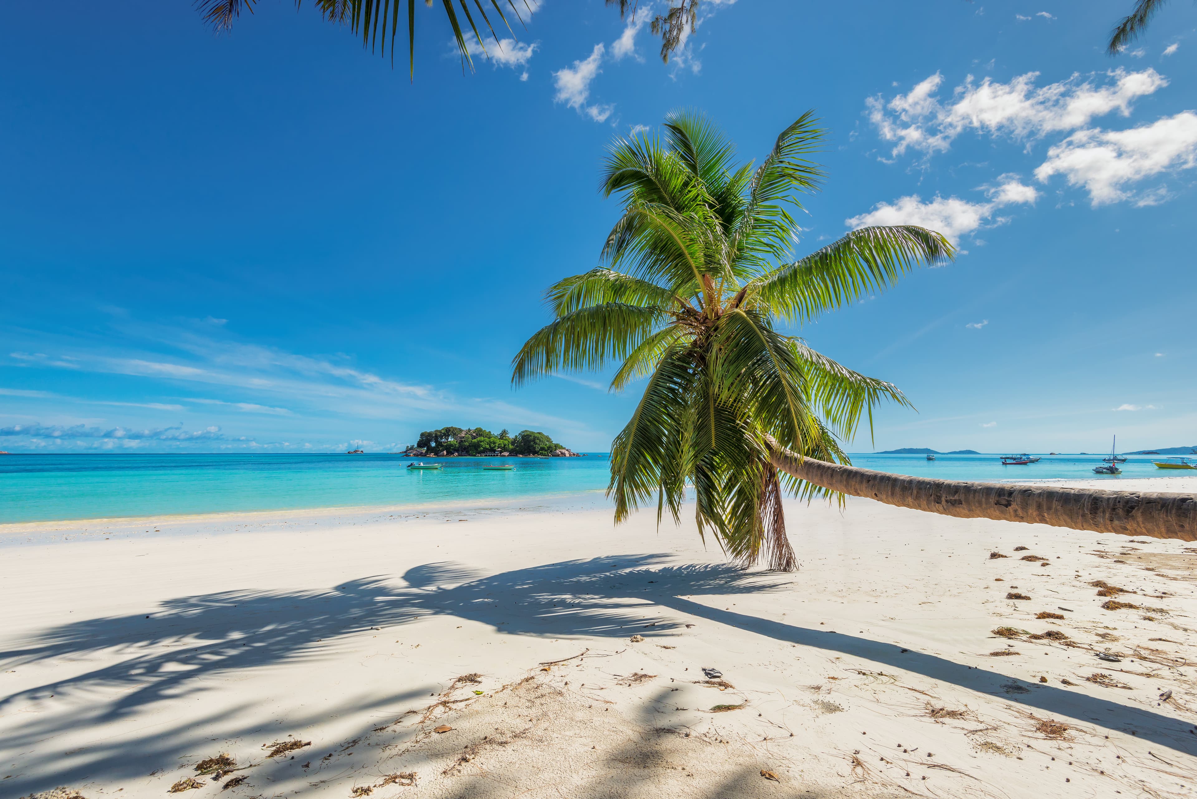 Jamaica, Jamaica