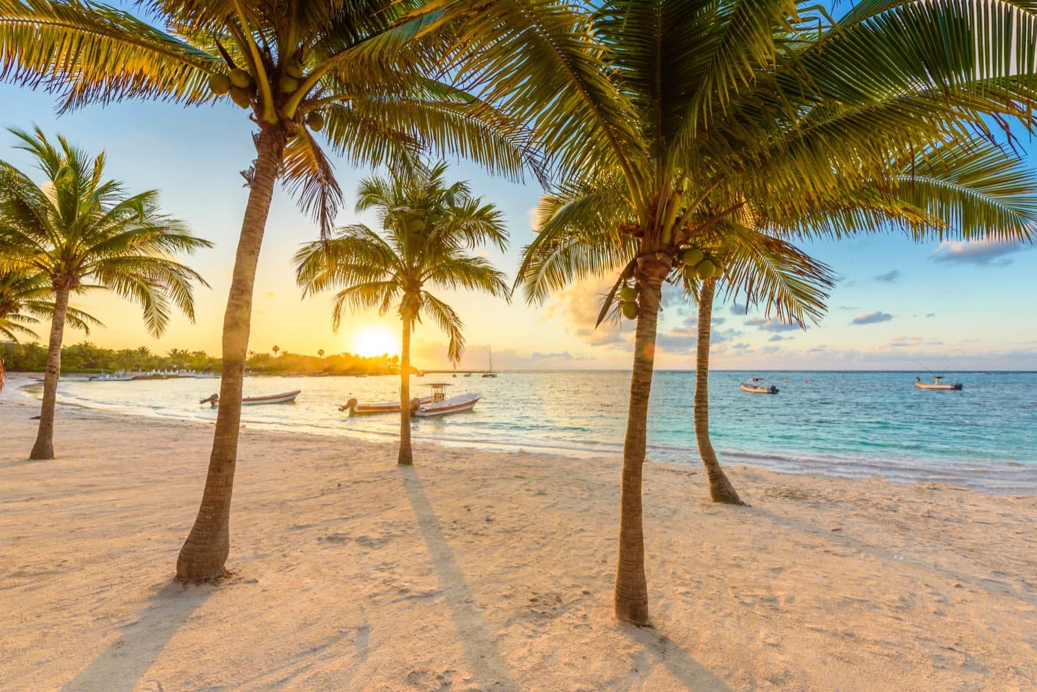 Cancún airport to Che Playa Hostel & Bar transfer — Cancún airport transfers