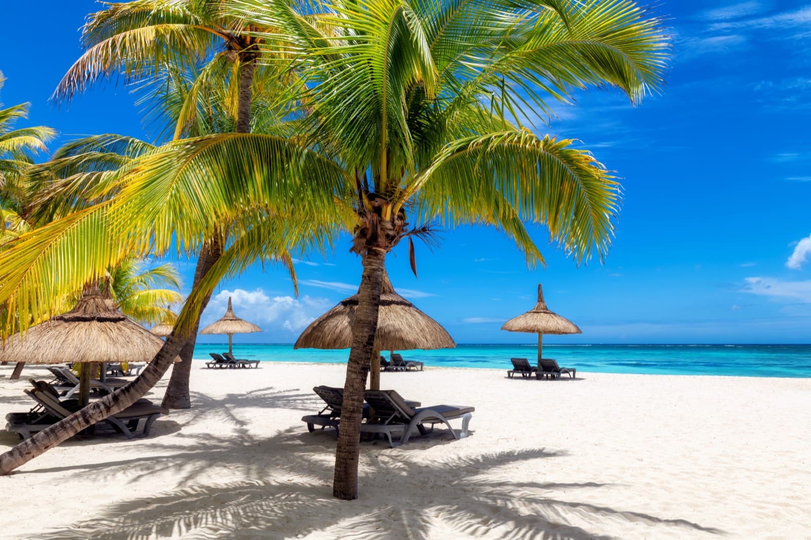 Cancún airport to Be Playa Hotel transfer — Cancún airport transfers